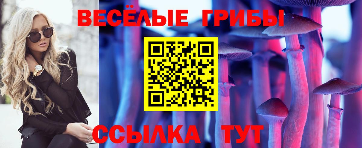 Бийск  Галлюциногенные грибы мицелий  Вход с VPN 